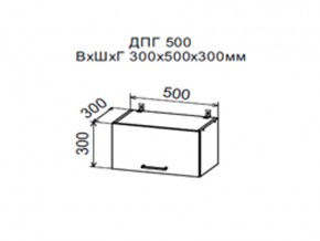 Шкаф верхний ДПГ500 горизонтальный в Североуральске - severouralsk.магазин96.com | фото