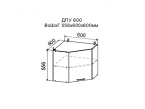 Шкаф верхний ДПУ600 угловой в Североуральске - severouralsk.магазин96.com | фото